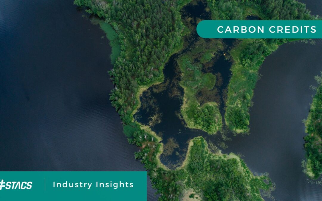 How Data Can Enable High-Quality Carbon Credits for Sustainability: Breaking Down to Each Persona 