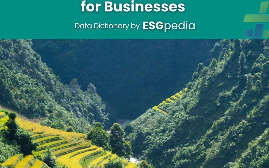 Guide to Sustainability Certifications for businesses – ESG Data Dictionary