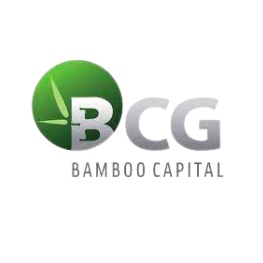 bamboo capital group