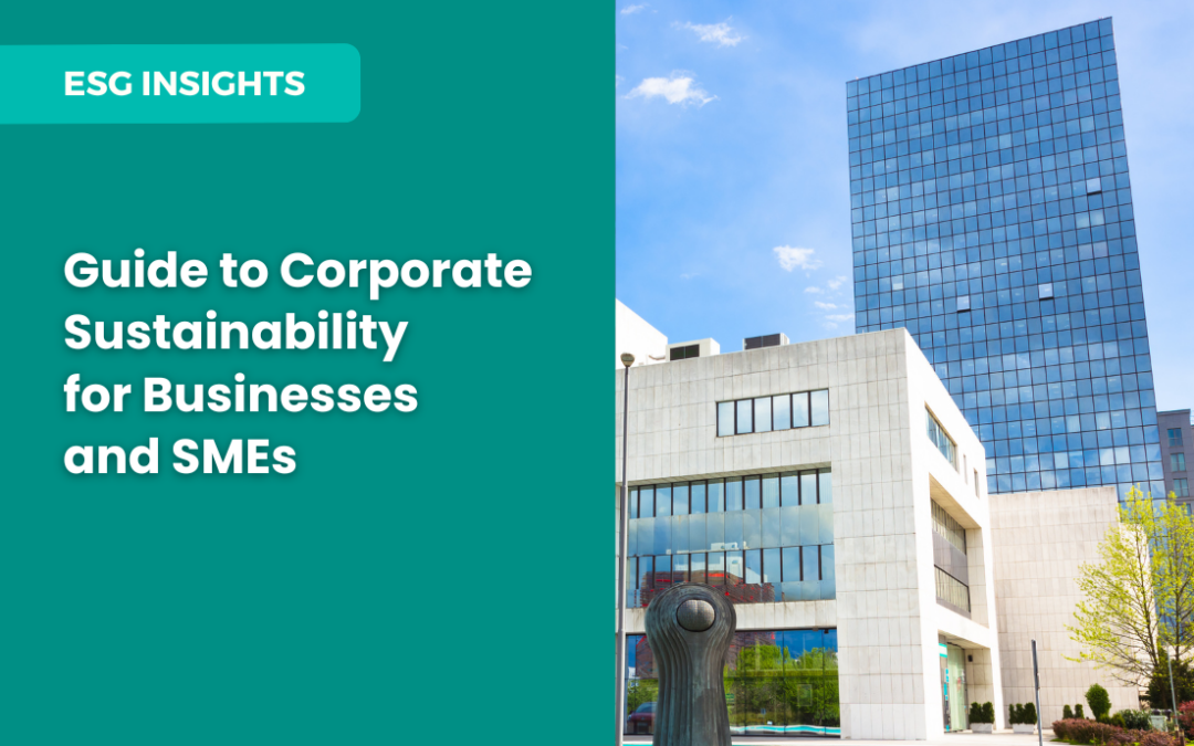 Guide to Corporate Sustainability for Businesses and SMEs